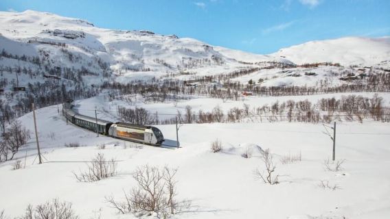 Bergen: villaggio vichingo, crociera sul Nærøyjord e ferrovia di Flåm
