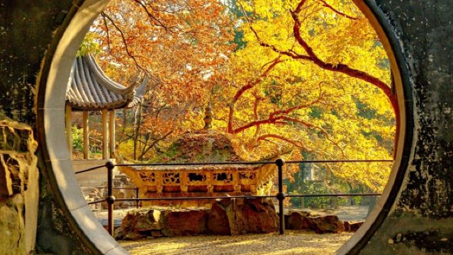 lawatan sehari Shanghai pergi-balik Suzhou ke Humble Administrator's Garden + Wuzhen Xizha