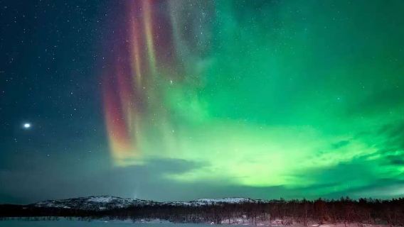 Россия | Ледокол «Ленин» + Защитникам Советского Заполярья в годы Великой Отечественной войны + краеведческий музей + памятник + незамерзающий порт