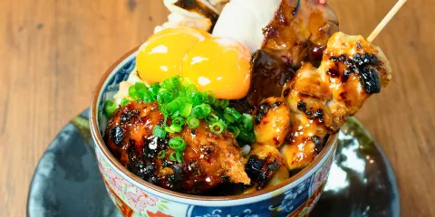 名古屋Torisakana - 烤雞肉串・菜品酒水 117道菜品任您選