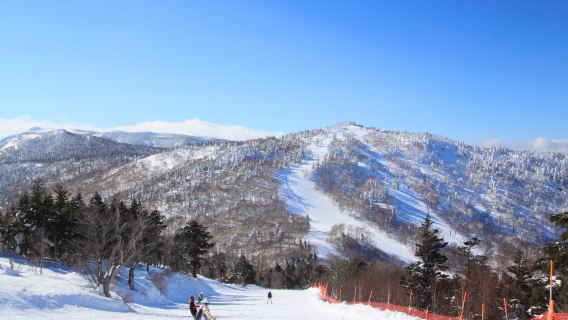Nagano Area, Japan + Nozawa Onsen Snow Resort Private Door-to-Door Transfer / Flexible Itinerary