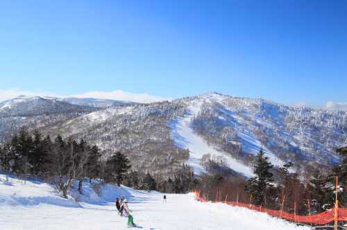 日本長野地區+野澤溫泉滑雪場專車上門接送/行程可調