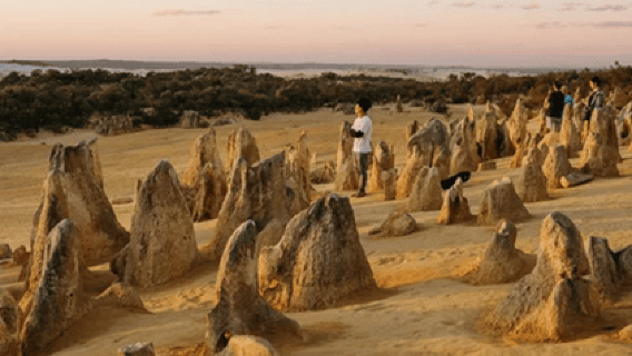 Perth: Pinnacles Desert Sunset and Stargazing with Dinner