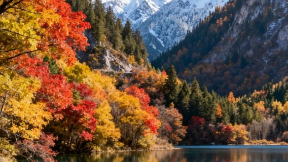 包車遊「黃龍九寨站－九寨溝風景區」商務車 轎車任意時間發車 純玩