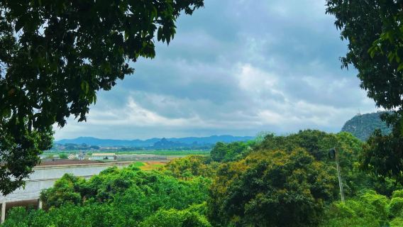 南寧來回武鳴伊嶺岩+敢掛洞天坑+大明山包車1日遊