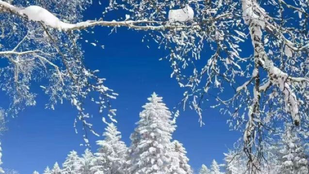 長白山霧淞漂流+雪嶺/老里克湖一日遊 2-6人