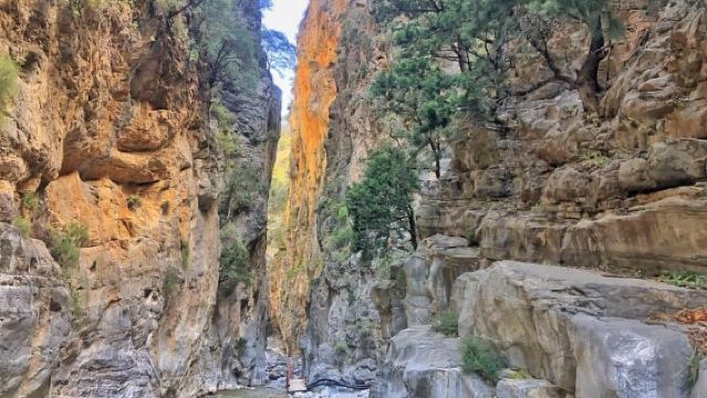 From Chania: Samaria Gorge Hike with Local Mountain Guide