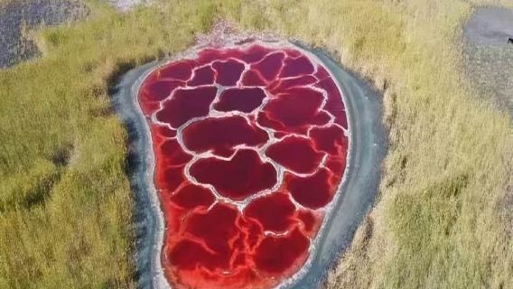 中衛騰格里沙漠·過夜露營【暢玩私人導覽2天1晚(五湖穿越烏蘭湖+西夏陵+賀蘭山岩畫)】