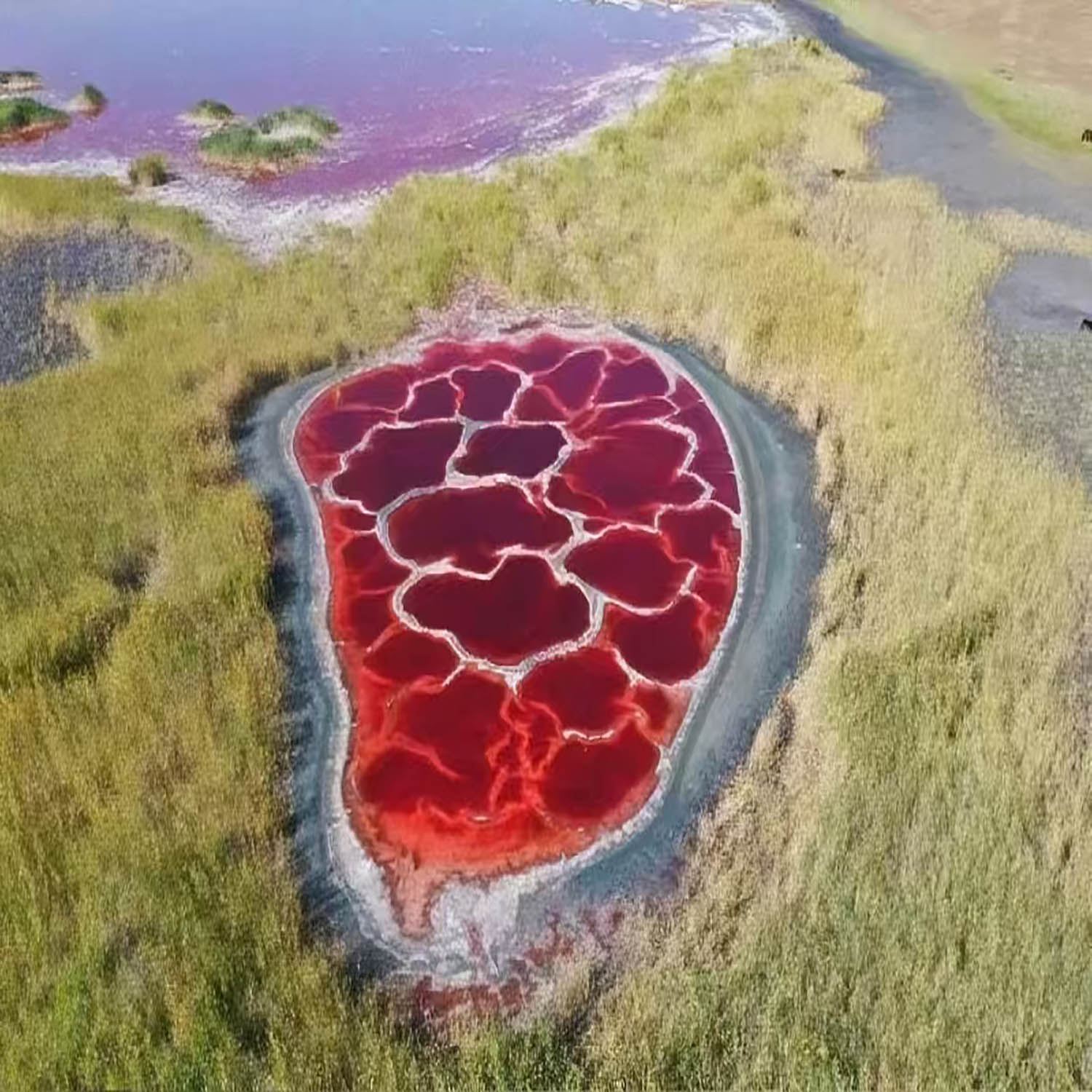 中衛騰格裡沙漠·過夜露營【五湖穿越烏蘭湖+西夏陵+賀蘭山岩畫+騎駱駝+衝浪車+滑沙】