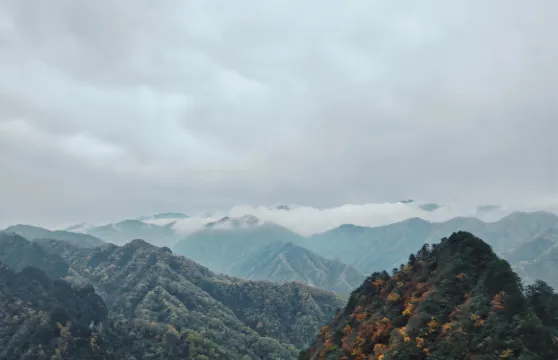 四川巴中光霧山三道關+雲天飛燕+紅山崖一日遊中英文服務