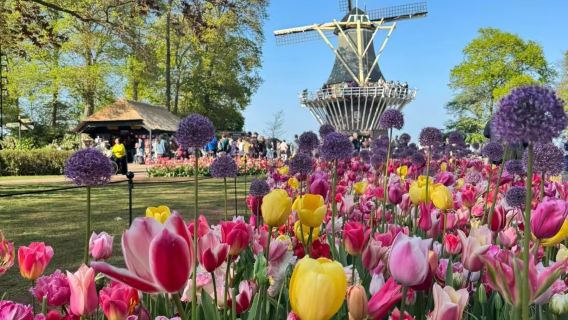 荷蘭 鹿特丹 立體方塊屋 伊拉斯謨橋 美術館 老港口等一日遊