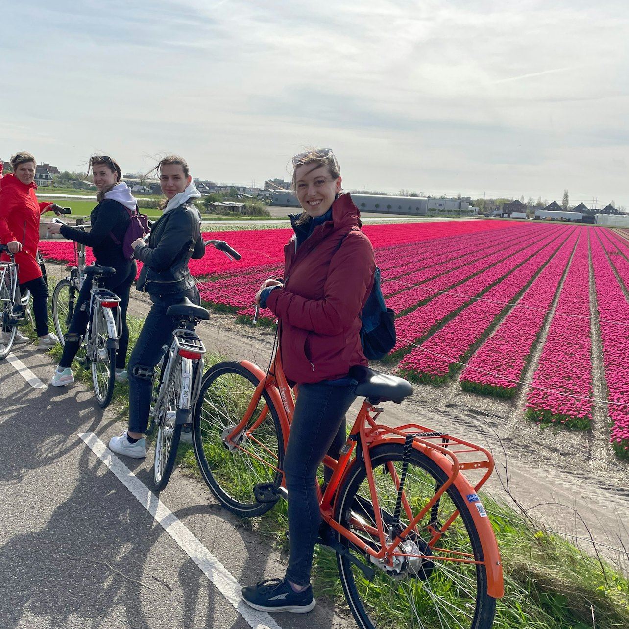 Keukenhof: Tour Guidato in Bicicletta tra i Campi di Fiori