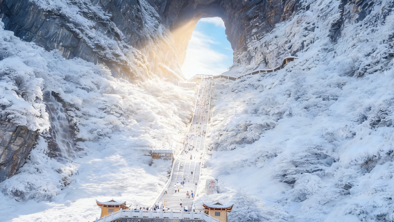 【A線/VIP通道】天門山國家森林公園一日遊 可指定精華A線