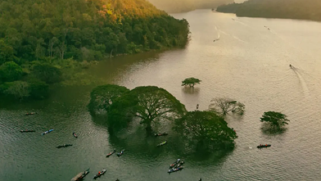 ทัวร์ 1 วัน ต้นไม้ในทะเลสาบเชียงใหม่|ต้นไม้ฝนร้อยปี สามารถจับคู่กับช้างล้านนาได้|รวมตั๋วเรือ+บริการรับส่ง