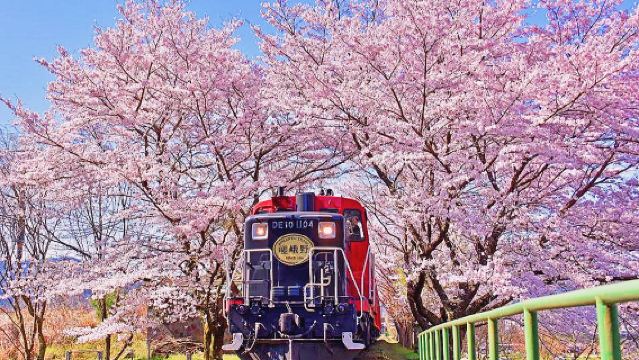 1-day tour from Osaka to the twin ancient capitals of Kyoto and Nara, featuring adorable deer, Fushimi Inari Taisha, and the Arashiyama scenic train