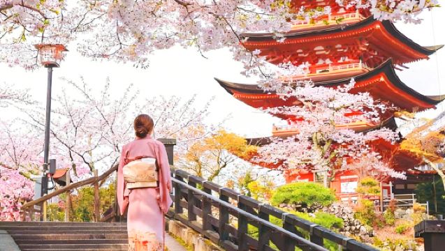 Limited-Time Offer | Kyoto Ancient Temples Ninenzaka & Sannenzaka + Nara Deer Feeding + Fushimi Inari Taisha 1-Day Tour