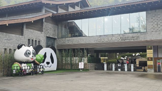 Dujiangyan China Panda Park + Red Panda Forest Park Day Tour: Double National Treasure Experience