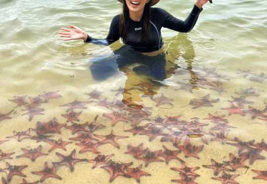 Phu Quoc Island Private Charter 1-Day Tour: Starfish Beach + Grand World + Teddy Bear Museum [Door-to-Door Pickup]