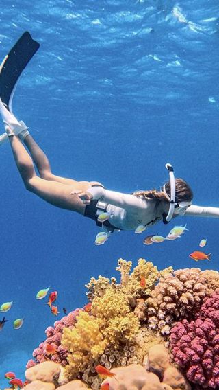 Krabi snorkeling tour - Phi Phi Islands + Ko Mai Phai + Maya Bay 1-day tour with speedboat, meals and transfers included