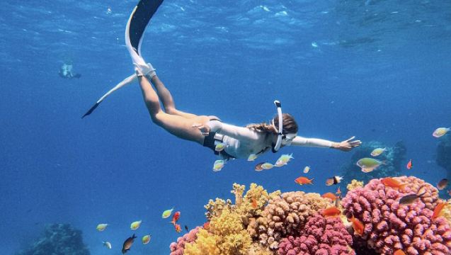 Krabi snorkeling tour - Phi Phi Islands + Ko Mai Phai + Maya Bay 1-day tour with speedboat, meals and transfers included