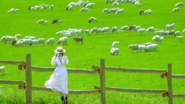 Excursión de un día a la pradera de Xilamuren | Disfruta de la pradera y la granja | Recogida en el hotel | Tour sin compras | Incluye cordero asado