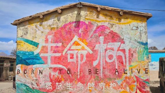 小團上門接·生命樹取景點+可魯克湖+彩虹丹霞星之谷一日遊