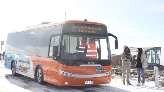Mt Wellington (kunanyi) 2.5-hour hop-on hop-off sightseeing explorer bus ticket - adult ticket & child ticket