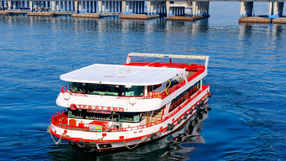 Istanbul: Bosphorus sightseeing cruise with audio guide