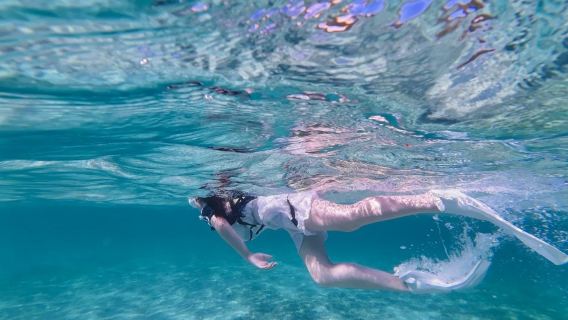 Snorkeling di Miyakojima Okinawa | Berenang Bersama Penyu dan Ikan Badut + Interaksi Tanpa Jarak + Cocok untuk Semua Usia
