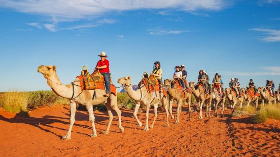 Australien - Kamelritt am Uluru/Ayers Rock [Sonnenaufgang/Sonnenuntergang + mehrere Zeitslots zur Auswahl + Hoteltransfer + professioneller englischsprachiger Reiseleiter + optional mit Snacks und Getränken]