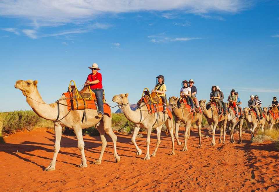 Uluru Ayers Rock Camel Ride Sunrise and Sunset Guide – Outdoor Adventure