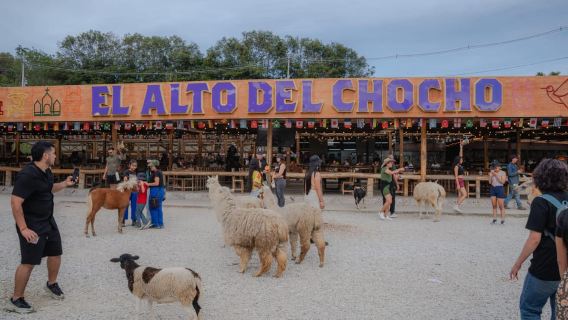 Guatapé Plus: Celebrity Cruise, the Piedra, Alto del chocho
