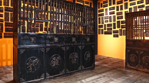 From Shanghai: Lili Ancient Town + Six Arts Museum private charter 1-day tour