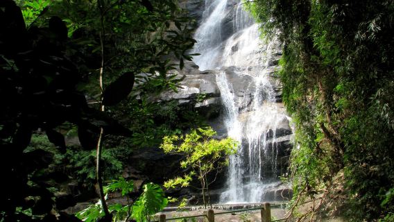 Brazil Rio de Janeiro - Hutan hujan tropika Tijuca - Lawatan sehari sewaan peribadi premium - Pilihan peribadi eksklusif