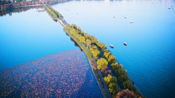Hangzhou private chartered tour: Lingyin Temple + West Lake Su Causeway Hangzhou Zen landscapes 1-day tour