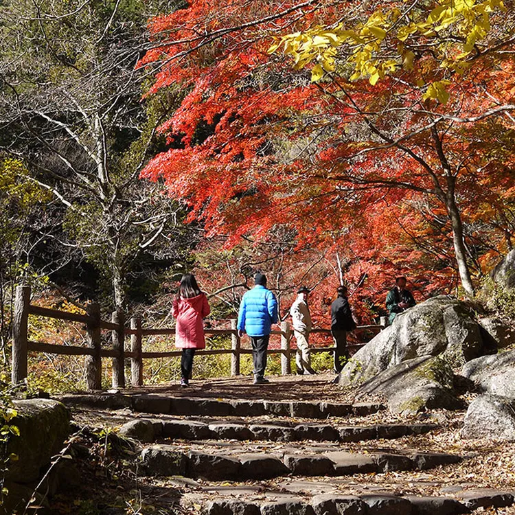 Tokyo departure | Shosenkyo Gorge strange rocks and autumn leaves
