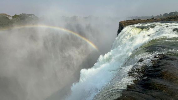 Livingstone: Rhino Encounter, Victoria Falls & Cruise