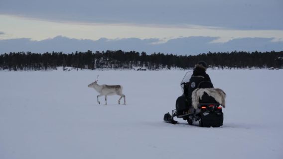 Muotkatunturi Wilderness Area, Inari – Lakes & Mountains Snowmobile Experience in Lapland
