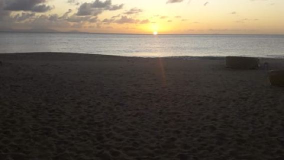 Antigua: Horseback Riding at Royalton or Dickenson Bay