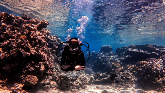 Aqaba Dive Adventure: Explore The Red Sea On A Tour