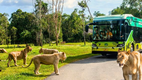 Vinpearl Safari Фукуок: квиток на нічне сафарі