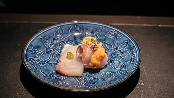 Crucero de delfines · Paquete OMAKASE de cocina japonesa (incluye billete de barco)