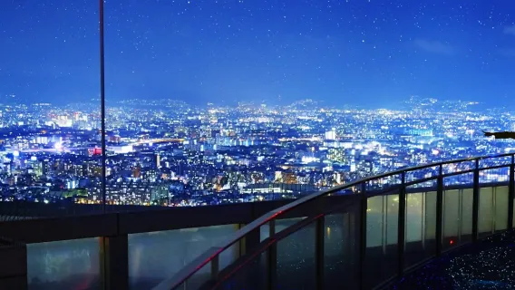 チームラボ バイオヴォルテックス 京都＋KYOTO-OSAKA SIGHTSEEING PASS