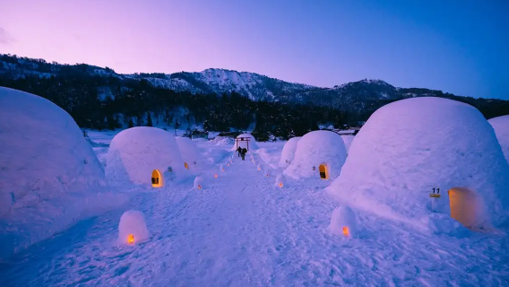 長野：雪猴＋飯山雪屋 冬季限定10小時包車 | 行程可調整 