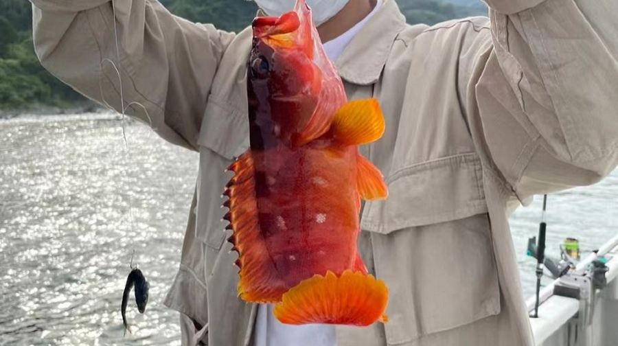 廣東汕頭南澳島青澳灣散拼出海海釣【專業快艇接駁出海+老漁民帶隊體驗海釣】