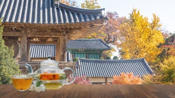 大邱日遊