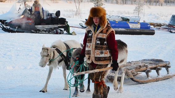 Tour di un giorno a Murmansk nel villaggio Sami con slitta trainata da renne, banana boat sulla neve e husky