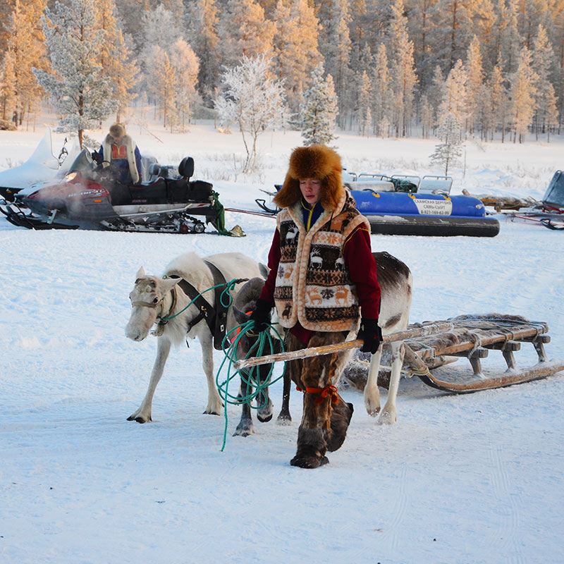 Excursión de un día a la aldea sami de Múrmansk en Rusia con trineo de renos, banana boat en la nieve y huskies