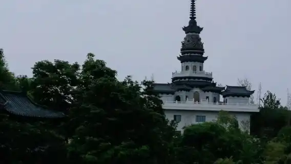 【獨立包團】徑山寺+私享導覽講解服務(不包括入場門票)