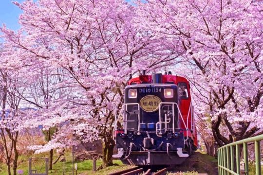 日本大阪/京都/奈良/宇治一日遊【9人精品團/多線路可選 中文司導 清水寺/奈良公園/嵐山/伏見稻荷大社/金閣寺/三千院 暑期国庆】